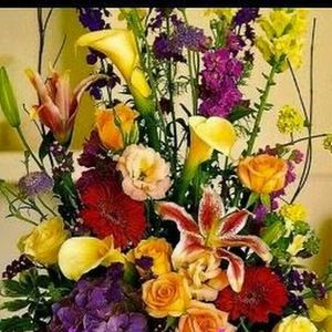 Meet your Posher, Noelia